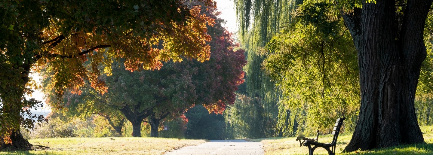 Arlington nature scene