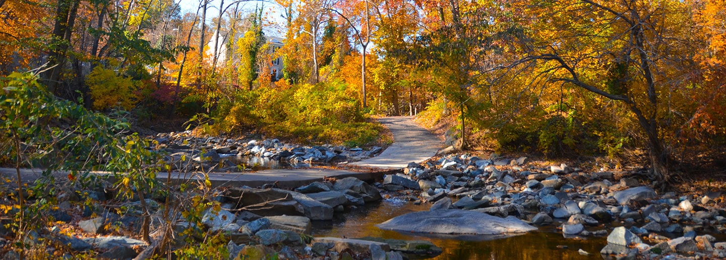 Arlington nature scene